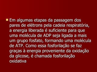Em algumas etapas da passagem dos pares de elétrons pela cadeia respiratória, a energia liberada é suficiente para que uma molécula de ADP seja ligada a mais um grupo fosfato, formando uma molécula de ATP. Como essa fosforilação se faz graças à energia proveniente da oxidação da glicose, é chamada fosforilação oxidativa 