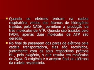 Quando os elétrons entram na cadeia respiratória vindos dos átomos de hidrogênio trazidos pelo NADH, permitem a produção de três moléculas de ATP. Quando são trazidos pelo FADH, apenas duas moléculas de ATP são geradas. No final da passagem dos pares de elétrons pela cadeia transportadora, eles são recolhidos, juntamente com os seus respectivos prótons H+, pelo oxigênio, o que resulta em moléculas de água. O oxigênio é o aceptor final de elétrons da cadeia respiratória. 