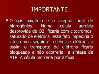 IMPORTANTE O gás oxigênio é o aceptor final de hidrogênios. Numa célula aeróbia desprovida de O2  ficaria com citocromos  saturado de elétrons  esse fato impediria o citocromos seguinte recebesse elétrons e assim o transporte de elétrons ficaria bloqueado e não ocorreria  a síntese de ATP. A célula morreria por asfixia. 