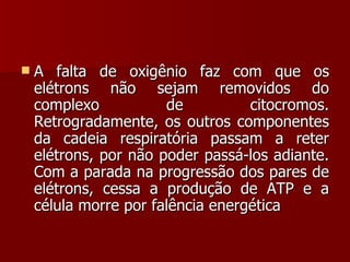 A falta de oxigênio faz com que os elétrons não sejam removidos do complexo de citocromos. Retrogradamente, os outros componentes da cadeia respiratória passam a reter elétrons, por não poder passá-los adiante. Com a parada na progressão dos pares de elétrons, cessa a produção de ATP e a célula morre por falência energética  
