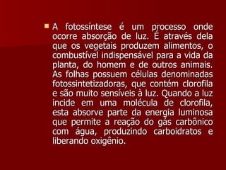 A fotossíntese é um processo onde ocorre absorção de luz. É através dela que os vegetais produzem alimentos, o combustível indispensável para a vida da planta, do homem e de outros animais. As folhas possuem células denominadas fotossintetizadoras, que contém clorofila e são muito sensíveis à luz. Quando a luz incide em uma molécula de clorofila, esta absorve parte da energia luminosa que permite a reação do gás carbônico com água, produzindo carboidratos e liberando oxigênio.  