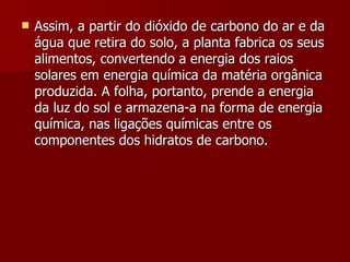 Assim, a partir do dióxido de carbono do ar e da água que retira do solo, a planta fabrica os seus alimentos, convertendo a energia dos raios solares em energia química da matéria orgânica produzida. A folha, portanto, prende a energia da luz do sol e armazena-a na forma de energia química, nas ligações químicas entre os componentes dos hidratos de carbono.  