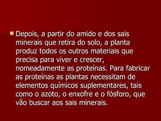 Depois, a partir do amido e dos sais minerais que retira do solo, a planta produz todos os outros materiais que precisa para viver e crescer, nomeadamente as proteínas. Para fabricar as proteínas as plantas necessitam de elementos químicos suplementares, tais como o azoto, o enxofre e o fósforo, que vão buscar aos sais minerais.  
