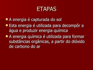 ETAPAS A energia é capturada do sol Esta energia é utilizada para decompôr a água e produzir energia química A energia química é utilizada para formar substâncias orgânicas, a partir do dióxido de carbono do ar 