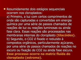 Resumidamente dois estágios sequenciais ocorrem nos cloroplastos: a) Primeiro, a luz com certos comprimentos de onda são capturadas e convertidas em energia química por uma série de passos chamados de reações de luz ou reações luminosas ou ainda fase clara. Essas reações são processadas nas membranas internas do cloroplasto  (tilacóides). b) Segundo, o CO2 é fixado e reduzido à compostos orgânicos, particularmente açúcares, por uma série de passos chamados de reações no escuro ou fixação de CO2 ou ainda fase escura.  Esse processo ocorre na matriz fluída do cloroplasto (estroma).   
