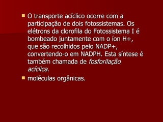 O transporte acíclico ocorre com a participação de dois fotossistemas. Os elétrons da clorofila do Fotossistema I é bombeado juntamente com o íon H+, que são recolhidos pelo NADP+, convertendo-o em NADPH. Esta síntese é também chamada de  fosforilação acíclica .  moléculas orgânicas.  