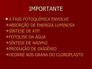 IMPORTANTE A FASE FOTOQUÍMICA ENVOLVE ABSORÇÃO DE ENERGIA LUMINOSA SÍNTESE DE ATP FOTOLISE DA ÁGUA SÍNTESE DE NADPH2 PRODUÇÃO DE OXIGÊNIO OCORRE NOS GRANA DO CLOROPLASTO 