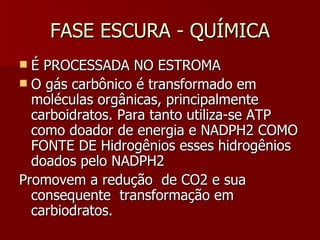 FASE ESCURA - QUÍMICA É PROCESSADA NO ESTROMA O gás carbônico é transformado em moléculas orgânicas, principalmente carboidratos. Para tanto utiliza-se ATP como doador de energia e NADPH2 COMO FONTE DE Hidrogênios esses hidrogênios doados pelo NADPH2 Promovem a redução  de CO2 e sua consequente  transformação em carbiodratos. 