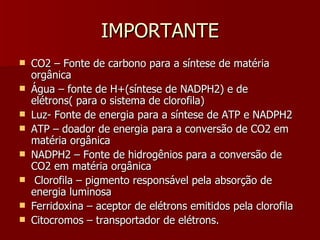 IMPORTANTE CO2 – Fonte de carbono para a síntese de matéria orgânica Água – fonte de H+(síntese de NADPH2) e de elétrons( para o sistema de clorofila) Luz- Fonte de energia para a síntese de ATP e NADPH2 ATP – doador de energia para a conversão de CO2 em matéria orgânica NADPH2 – Fonte de hidrogênios para a conversão de CO2 em matéria orgânica Clorofila – pigmento responsável pela absorção de energia luminosa Ferridoxina – aceptor de elétrons emitidos pela clorofila Citocromos – transportador de elétrons. 