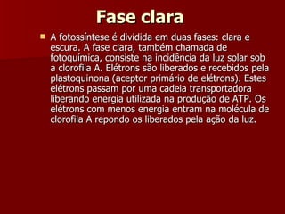 Fase clara  A fotossíntese é dividida em duas fases: clara e escura. A fase clara, também chamada de fotoquímica, consiste na incidência da luz solar sob a clorofila A. Elétrons são liberados e recebidos pela plastoquinona (aceptor primário de elétrons). Estes elétrons passam por uma cadeia transportadora liberando energia utilizada na produção de ATP. Os elétrons com menos energia entram na molécula de clorofila A repondo os liberados pela ação da luz.  