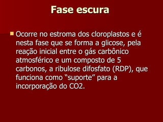 Fase escura  Ocorre no estroma dos cloroplastos e é nesta fase que se forma a glicose, pela reação inicial entre o gás carbônico atmosférico e um composto de 5 carbonos, a ribulose difosfato (RDP), que funciona como “suporte” para a incorporação do CO2. 