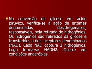 Na conversão de glicose em ácido pirúvico, verifica-se a ação de enzimas denominadas desidrogenases, responsáveis, pela retirada de hidrogênios. Os hidrogênios são retirados da glicose e transferidos a dois aceptores denominados (NAD). Cada NAD captura 2 hidrogênios. Logo forma-se NADH2. Ocorre em condições anaeróbias. 