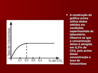 A construção do gráfico acima utiliza dados obtidos em condições experimentais de laboratório. Observa-se que a concentração ótima é atingida em 0,2% de CO2, pois acima dessa concentração a taxa de fotossíntese  