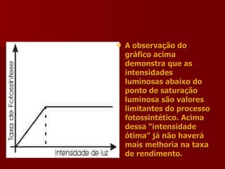 A observação do gráfico acima demonstra que as intensidades luminosas abaixo do ponto de saturação luminosa são valores limitantes do processo fotossintético. Acima dessa “intensidade ótima” já não haverá mais melhoria na taxa de rendimento. 