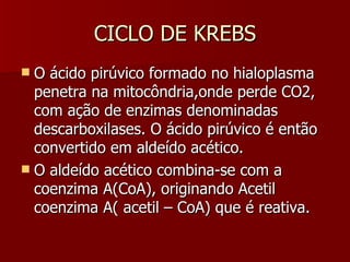 CICLO DE KREBS O ácido pirúvico formado no hialoplasma penetra na mitocôndria,onde perde CO2, com ação de enzimas denominadas descarboxilases. O ácido pirúvico é então convertido em aldeído acético. O aldeído acético combina-se com a coenzima A(CoA), originando Acetil coenzima A( acetil – CoA) que é reativa. 