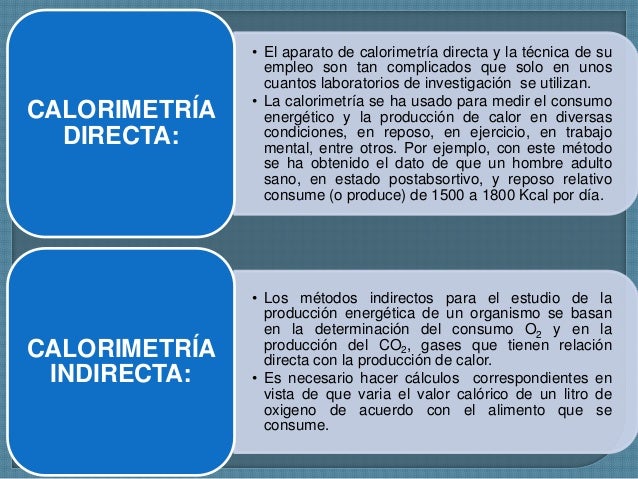 Tu tienes metabolismo vitamina b12 ?