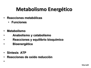 MaríaM
Metabolismo Energético
• Reacciones metabólicas
• Funciones
• Metabolismo
• Anabolismo y catabolismo
• Reacciones y equilibrio bioquímico
• Bioenergética
• Síntesis ATP
• Reacciones de oxido reducción
•
 