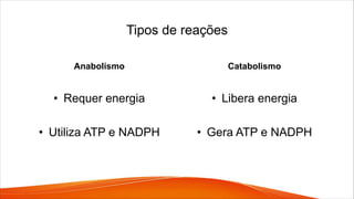 Tipos de reações
Anabolismo
• Requer energia
• Utiliza ATP e NADPH
Catabolismo
• Libera energia
• Gera ATP e NADPH
 