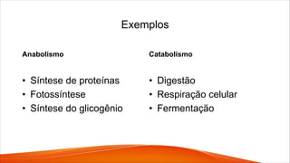 Exemplos
Anabolismo
• Síntese de proteínas
• Fotossíntese
• Síntese do glicogênio
Catabolismo
• Digestão
• Respiração celular
• Fermentação
 