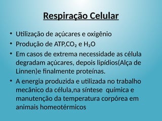 Respiração Celular
• Utilização de açúcares e oxigênio
• Produção de ATP,CO₂ e H₂O
• Em casos de extrema necessidade as célula
degradam açúcares, depois lipídios(Alça de
Linnen)e finalmente proteínas.
• A energia produzida e utilizada no trabalho
mecânico da célula,na síntese química e
manutenção da temperatura corpórea em
animais homeotérmicos
 