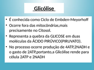 Glicólise
• É conhecida como Ciclo de Embden-Meyorhoff
• Ocorre fora das mitocôndrias,mais
precisamente no Citosol.
• Representa a quebra da GLICOSE em duas
moléculas da ÁCIDO PIRÚVICO(PIRUVATO).
• No processo ocorre produção de 4ATP,2NADH e
o gasto de 2ATP,portanto,a Glicólise rende para
célula 2ATP e 2NADH
 