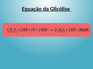 Equação da Glicólise
 