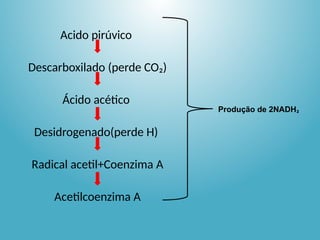 Acido pirúvico
Descarboxilado (perde CO₂)
Ácido acético
Desidrogenado(perde H)
Radical acetil+Coenzima A
Acetilcoenzima A
Produção de 2NADH₂
 