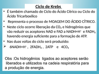 Ciclo de Krebs
• É também chamado de Ciclo do Ácido Cítrico ou Ciclo do
Ácido Tricarboxílico
• Representa o processo de MOAGEM DO ÁCIDO CÍTRICO.
• Neste ciclo ocorre liberação da CO₂ e hidrogênios que
vão reduzir os aceptores NAD e FAD a NADH+H+
e FADH₂
havendo energia suficiente para a formação de ATP.
• Nas duas voltas do ciclo será produzido:
 6NADH+H+
, 2FADH₂ , 2ATP e 4CO₂
Obs :Os hidrogênios ligados ao aceptores serão
liberados e utilizados na cadeia respiratória para
a produção de energia.
 
