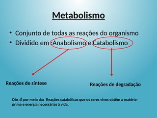 Metabolismo
• Conjunto de todas as reações do organismo
• Dividido em :Anabolismo e Catabolismo
Reações de síntese Reações de degradação
Obs :É por meio das Reações catabólicas que os seres vivos obtêm a matéria-
prima e energia necessárias à vida.
 