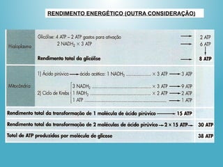 RENDIMENTO ENERGÉTICO (OUTRA CONSIDERAÇÃO)
 