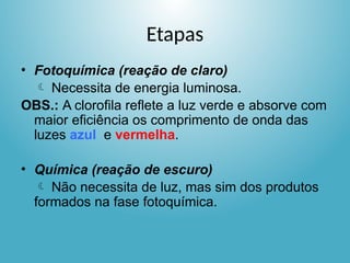 Etapas
• Fotoquímica (reação de claro)
 Necessita de energia luminosa.
OBS.: A clorofila reflete a luz verde e absorve com
maior eficiência os comprimento de onda das
luzes azul e vermelha.
• Química (reação de escuro)
 Não necessita de luz, mas sim dos produtos
formados na fase fotoquímica.
 