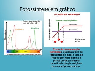 Fotossíntese em gráfico
Ponto de compensação
luminosa é quando a taxa de
fotossíntese é igual a taxa de
respiração. Nesse ponto a
planta produz a mesma
quantidade de gás oxigênio
que ela própria consome.
 
