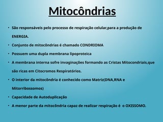 Mitocôndrias
• São responsáveis pelo processo de respiração celular,para a produção de
ENERGIA.
• Conjunto de mitocôndrias é chamado CONDRIOMA
• Possuem uma dupla membrana lipoproteica
• A membrana interna sofre invaginações formando as Cristas Mitocondriais,que
são ricas em Citocromos Respiratórios.
• O interior da mitocôndria é conhecido como Matriz(DNA,RNA e
Mitorribossomos)
• Capacidade de Autoduplicação
• A menor parte da mitocôndria capaz de realizar respiração é o OXISSOMO.
 