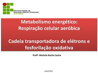 Metabolismo energético:
Respiração celular aeróbica
Cadeia transportadora de elétrons e
fosforilação oxidativa
Profª: Michele Rocha Castro
Julho/2011
 