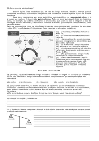 07. Como ocorre a quimiossíntese?

        Existem alguns seres autotróficos que, em vez da energia luminosa, utilizam a energia química
proveniente da oxidação de compostos inorgânicos para a síntese de matéria orgânica a partir de matéria
inorgânica.
        Estes seres designam-se por seres autotróficos quimiossintéticos ou quimioautotróficos e o
processo que realizam é denominado quimiossíntese. Todos os seres quimioautotróficos são bactérias,
como, por exemplo, as bactérias nitrificantes e amonizantes, que vivem no solo e integram o ciclo de
reciclagem do azoto na biosfera, e as bactérias sulfurosas e ferrosas, que vivem nos fundos oceânicos, junto
de fontes termais.
Tanto na quimiossíntese como na fotossíntese formam-se, numa primeira fase, compostos de alto poder
redutor (TH2) e moléculas de ATP. Considera a figura e assinala as afirmações verdadeiras.

                                                                a) (    ) Durante a primeira fase formam-se
                                                                ATP e TH2.
                                                                b) ( ) O substrato inicial experimenta uma
                                                                oxidação.
                                                                c) ( ) Na fotossíntese é a energia luminosa
                                                                absorvida pelos pigmentos fotossintéticos que
                                                                desencadeia o processo.
                                                                d) ( ) O ADP fornece a energia necessária
                                                                para a formação dos compostos orgânicos.
                                                                e) ( ) TH2 fornece hidrogénios que intervêm
                                                                na formação de compostos orgânicos após a
                                                                fixação de CO2.
                                                                f) (   ) Na quimiossíntese a energia resulta
                                                                da oxidação de compostos minerais.
                                                                g) ( ) Tanto na quimiossíntese como na
                                                                fotossíntese ocorre, numa segunda fase, um
                                                                processo cíclico em que participam o CO2
                                                                absorvido e as moléculas de TH2 e ATP,
                                                                durante o qual se produzem compostos
                                                                orgânicos.

                                        ATIVIDADES DE VESTIBULAR

01. (Puccamp) A quase totalidade da energia utilizada na Terra tem sua origem nas radiações que recebemos
do Sol. Para a entrada da energia solar nos ecossistemas a organela celular que desempenha papel mais
destacado é

a) o núcleo.   b) a mitocôndria.      c) o ribossomo.         d) o vacúolo.   e) o cloroplasto.

02. (Ufu) Existem seres vivos, ou mesmo células de um organismo, que são chamados de anaeróbicos
facultativos. Estes respiram aerobicamente enquanto há oxigênio disponível. No entanto, se o oxigênio faltar,
esses seres ou essas células podem degradar a glicose anaerobicamente, realizando a fermentação.
Pergunta-se
a) Na fermentação, o consumo de glicose é maior ou menor do que o usado no processo aeróbico?
_______________________________________________________________________________________

b) Justifique sua resposta, com cálculos.
_______________________________________________________________________________________
_______________________________________________________________________________________
_______________________________________________________________________________________
_______________________________________________________________________________________

03. (Cesgranrio) Observe o esquema e explique as duas formas pelas quais uma célula pode utilizar a glicose
produzida na fotossíntese.

                                    ___________________________________________________________
                                    ___________________________________________________________
                                    ___________________________________________________________
                                    ___________________________________________________________
                                    ___________________________________________________________
                                    ___________________________________________________________
                                    ___________________________________________________________
 
