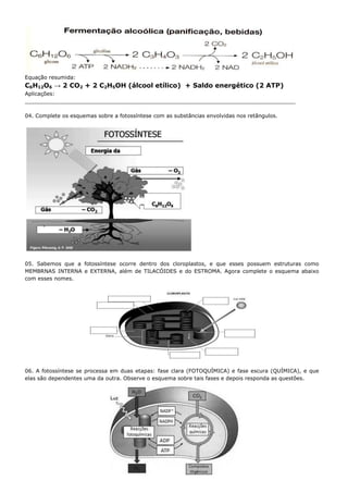 Equação resumida:
C6H12O6 → 2 CO2 + 2 C2H5OH (álcool etílico) + Saldo energético (2 ATP)
Aplicações:
_________________________________________________________________________________

04. Complete os esquemas sobre a fotossíntese com as substâncias envolvidas nos retângulos.




05. Sabemos que a fotossíntese ocorre dentro dos cloroplastos, e que esses possuem estruturas como
MEMBRNAS INTERNA e EXTERNA, além de TILACÓIDES e do ESTROMA. Agora complete o esquema abaixo
com esses nomes.




06. A fotossíntese se processa em duas etapas: fase clara (FOTOQUÍMICA) e fase escura (QUÍMICA), e que
elas são dependentes uma da outra. Observe o esquema sobre tais fases e depois responda as questões.
 