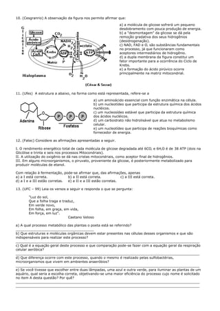 10. (Cesgranrio) A observação da figura nos permite afirmar que:

                                                               a) a molécula de glicose sofrerá um pequeno
                                                               desdobramento com pouca produção de energia.
                                                               b) a "desmontagem" da glicose se dá pela
                                                               remoção gradativa dos seus hidrogênios
                                                               (desidrogenação).
                                                               c) NAD, FAD e O‚ são substâncias fundamentais
                                                               no processo, já que funcionaram como
                                                               aceptores intermediários de hidrogênio.
                                                               d) a dupla membrana da figura constitui um
                                                               fator importante para a ocorrência do Ciclo de
                                                               Krebs.
                                                               e) a formação do ácido pirúvico ocorre
                                                               principalmente na matriz mitocondrial.




11. (Ufes) A estrutura a abaixo, na forma como está representada, refere-se a

                                               a) um aminoácido essencial com função enzimática na célula.
                                               b) um nucleotídeo que participa da estrutura química dos ácidos
                                               nucléicos.
                                               c) um nucleosídeo estável que participa da estrutura química
                                               dos ácidos nucléicos.
                                               d) um carboidrato não hidrolisável que atua no metabolismo
                                               celular.
                                               e) um nucleotídeo que participa de reações bioquímicas como
                                               fornecedor de energia.

12. (Fatec) Considere as afirmações apresentadas a seguir.

I. O rendimento energético total de cada molécula de glicose degradada até 6CO‚ e 6H‚O é de 38 ATP (dois na
Glicólise e trinta e seis nos processos Mitocondriais).
II. A utilização do oxigênio se dá nas cristas mitocondriais, como aceptor final de hidrogênios.
III. Em alguns microorganismos, o piruvato, proveniente da glicose, é posteriormente metabolizado para
produzir moléculas de etanol.

Com relação à fermentação, pode-se afirmar que, das afirmações, apenas
a) a I está correta.           b) a II está correta.           c) a III está correta.
d) a I e a III estão corretas. e) a II e a III estão corretas.

13. (UFC – 99) Leia os versos a seguir e responda o que se pergunta:

        "Luz do sol,
        Que a folha traga e traduz,
        Em verde novo,
        Em folha, em graça, em vida,
        Em força, em luz".
                                Caetano Veloso

a) A qual processo metabólico das plantas o poeta está se referindo?
_____________________________________
b) Que estruturas e moléculas orgânicas devem estar presentes nas células desses organismos e que são
indispensáveis para realizar este processo?
_______________________________________________________________________________________
c) Qual é a equação geral deste processo e que comparação pode-se fazer com a equação geral da respiração
celular aeróbica?
_______________________________________________________________________________________
d) Que diferença ocorre com este processo, quando o mesmo é realizado pelas sulfobactérias,
microorganismos que vivem em ambientes anaeróbios?
_______________________________________________________________________________________
e) Se você tivesse que escolher entre duas lâmpadas, uma azul e outra verde, para iluminar as plantas de um
aquário, qual seria a escolha correta, objetivando-se uma maior eficiência do processo cujo nome é solicitado
no item A desta questão? Por quê?
_______________________________________________________________________________________
_______________________________________________________________________________________
 