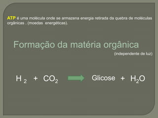 ATP é uma molécula onde se armazena energia retirada da quebra de moléculas
orgânicas . (moedas energéticas).




   Formação da matéria orgânica
                                                       (independente de luz)




    H 2 + CO2                              Glicose + H2O
 