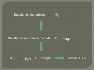 Substância inorgânica   +   O2




Substância inorgânica oxidada   +    Energia




CO2    +   H2O    +   Energia           Glicose + O2
 