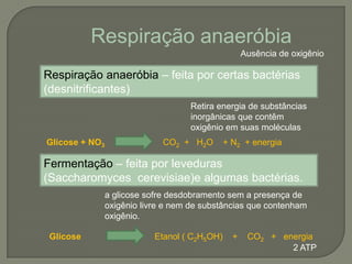 Respiração anaeróbia
                                                     Ausência de oxigênio

Respiração anaeróbia – feita por certas bactérias
(desnitrificantes)
                                    Retira energia de substâncias
                                    inorgânicas que contêm
                                    oxigênio em suas moléculas
Glicose + NO3                 CO2 + H2O        + N2 + energia

Fermentação – feita por leveduras
(Saccharomyces cerevisiae)e algumas bactérias.
                a glicose sofre desdobramento sem a presença de
                oxigênio livre e nem de substâncias que contenham
                oxigênio.

 Glicose                    Etanol ( C2H5OH)     +    CO2 + energia
                                                              2 ATP
 