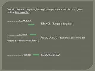O ácido pirúvico ( degradação da glicose) pode na ausência de oxigênio
realizar fermentação:


..................alcoólica
                                  ETANOL ( fungos e bactérias)



•.................lática
                                  ÁCIDO LÁTICO ( bactérias, determinados
fungos e células musculares.)




........................Acética   ÁCIDO ACÉTICO
 