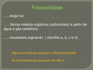 Fotossíntese
......exige luz

.......forma matéria orgânica (carboidrato) a partir de
água e gás carbônico

......necessário pigmento ( clorofila a, b, c e d).



     Algumas bactérias possuem a Bacterioclorofila.

     As Cianobactérias possuem clorofila a
 