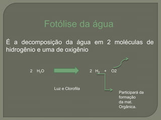 Fotólise da água
É a decomposição da água em 2 moléculas de
hidrogênio e uma de oxigênio


      2   H2O                     2 H2   +   O2



                Luz e Clorofila
                                                  Participará da
                                                  formação
                                                  da mat.
                                                  Orgânica.
 