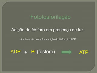 Fotofosforilação

Adição de fósforo em presença de luz

    A substância que sofre a adição do fósforo é o ADP




ADP + Pi (fósforo)                                       ATP
 