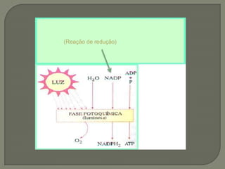 (Reação de redução)
 