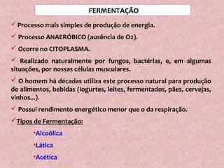 FERMENTAÇÃO
 Processo mais simples de produção de energia.
 Processo ANAERÓBICO (ausência de O2).
 Ocorre no CITOPLASMA.
 Realizado naturalmente por fungos, bactérias, e, em algumas
situações, por nossas células musculares.
 O homem há décadas utiliza este processo natural para produção
de alimentos, bebidas (iogurtes, leites, fermentados, pães, cervejas,
vinhos...).
 Possui rendimento energético menor que o da respiração.
Tipos de Fermentação:
•Alcoólica
•Lática
•Acética
 