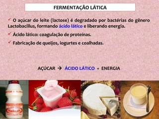 FERMENTAÇÃO LÁTICA
 O açúcar do leite (lactose) é degradado por bactérias do gênero
Lactobacillus, formando ácido lático e liberando energia.
 Ácido lático: coagulação de proteínas.
 Fabricação de queijos, iogurtes e coalhadas.
AÇÚCAR  ÁCIDO LÁTICO + ENERGIA
 