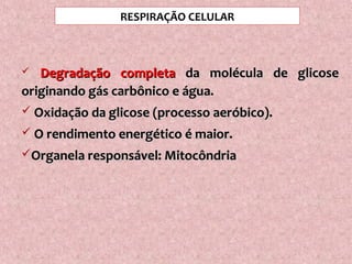  DegradaçãoDegradação completacompleta da molécula de glicoseda molécula de glicose
originando gás carbônico e água.originando gás carbônico e água.
 Oxidação da glicose (processo aeróbico).Oxidação da glicose (processo aeróbico).
 O rendimento energético é maior.O rendimento energético é maior.
Organela responsável: MitocôndriaOrganela responsável: Mitocôndria
RESPIRAÇÃO CELULAR
 