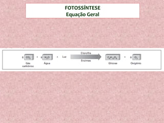 FOTOSSÍNTESE
Equação Geral
 