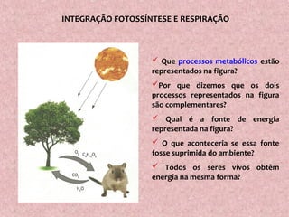 INTEGRAÇÃO FOTOSSÍNTESE E RESPIRAÇÃO
 Que processos metabólicos estão
representados na figura?
Por que dizemos que os dois
processos representados na figura
são complementares?
 Qual é a fonte de energia
representada na figura?
 O que aconteceria se essa fonte
fosse suprimida do ambiente?
 Todos os seres vivos obtêm
energia na mesma forma?
 